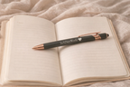 InADaysWorld Pen